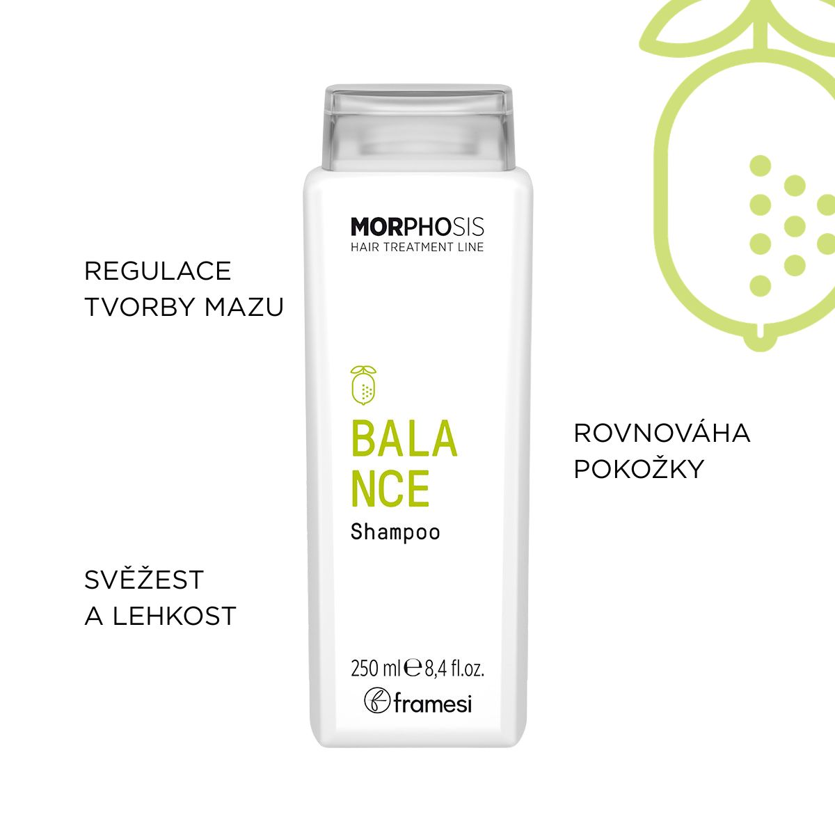 Čisticí šampon na mastné vlasy Balance Shampoo | 250 ml (obrázek 4)