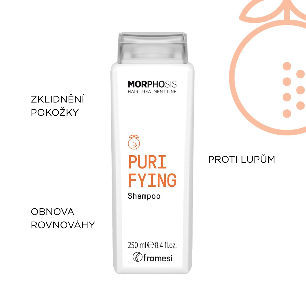 Čisticí šampon proti lupům Purifying Shampoo | 250 ml (obrázek 4)
