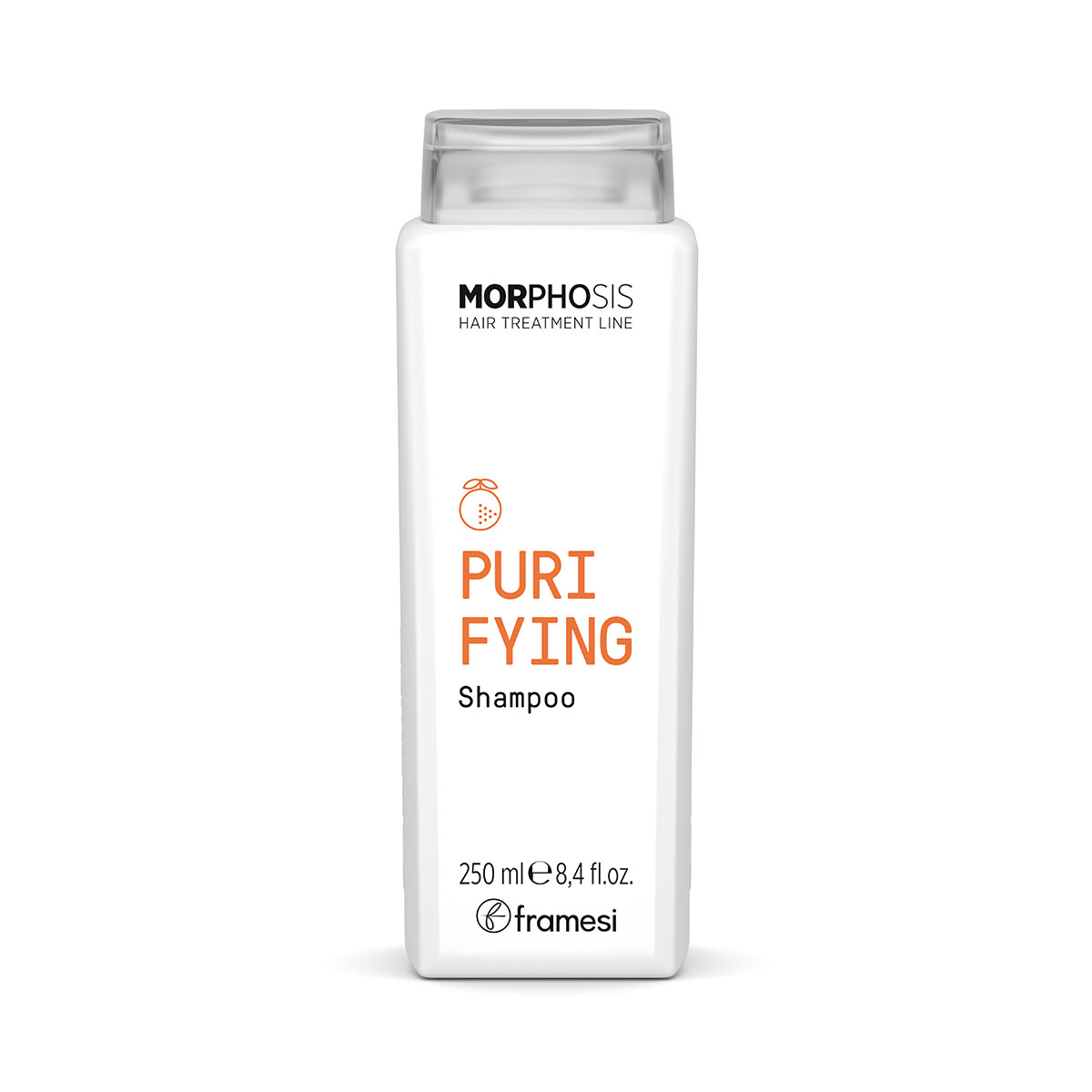 Levně Čisticí šampon proti lupům Purifying Shampoo | 250 ml