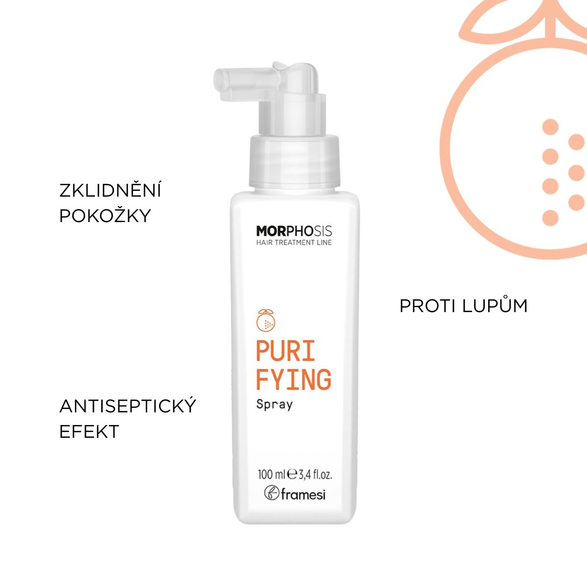 Sprej obnovující rovnováhu pokožky s lupy Purifying Spray | 100 ml (obrázek 4)