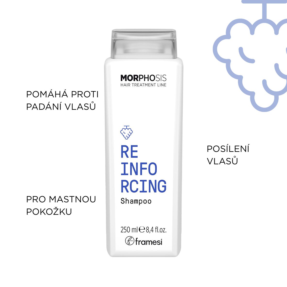 Kit Reinforcing | šampon 250 ml + aktivátory 12 x 7 ml (obrázek 4)