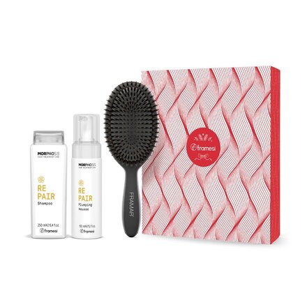 Vánoční balíček Repair | šampon 250 ml + pěna 150 ml + kartáč na vlasy
