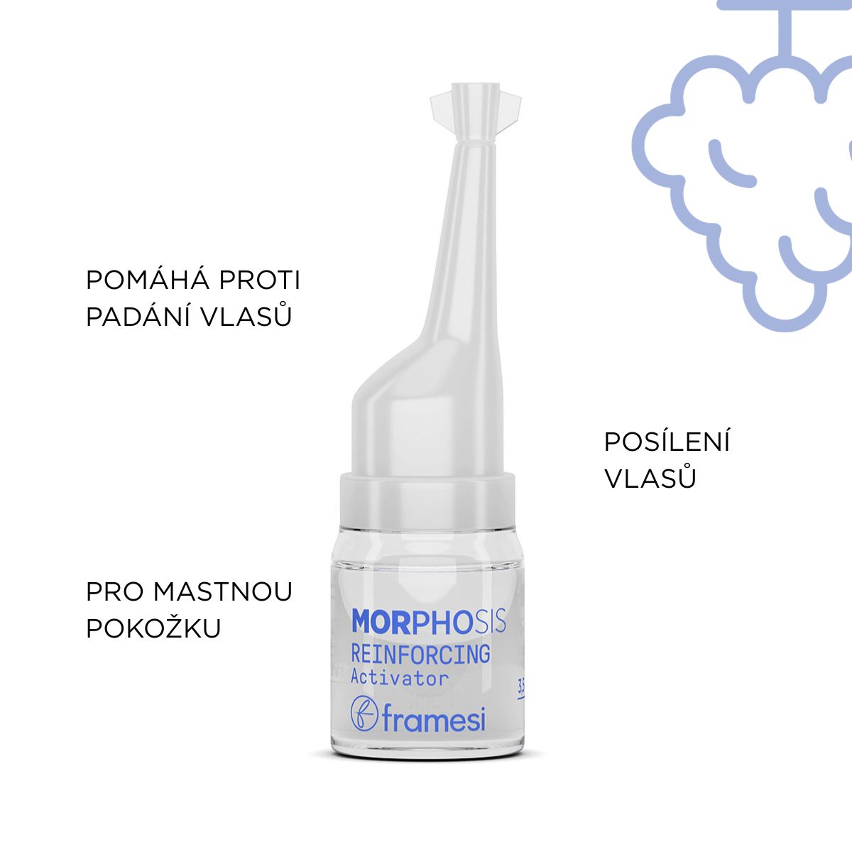 Aktivátor růstu vlasů Reinforcing Activator | 12 x 7 ml (obrázek 4)
