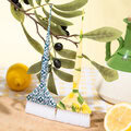 product-img-small