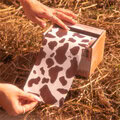 product-img-small