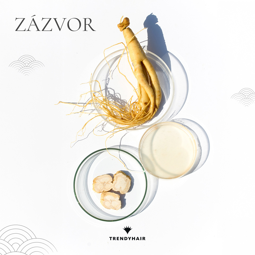Obnovující kondicionér Elastic | 1000 ml (obrázek 10)