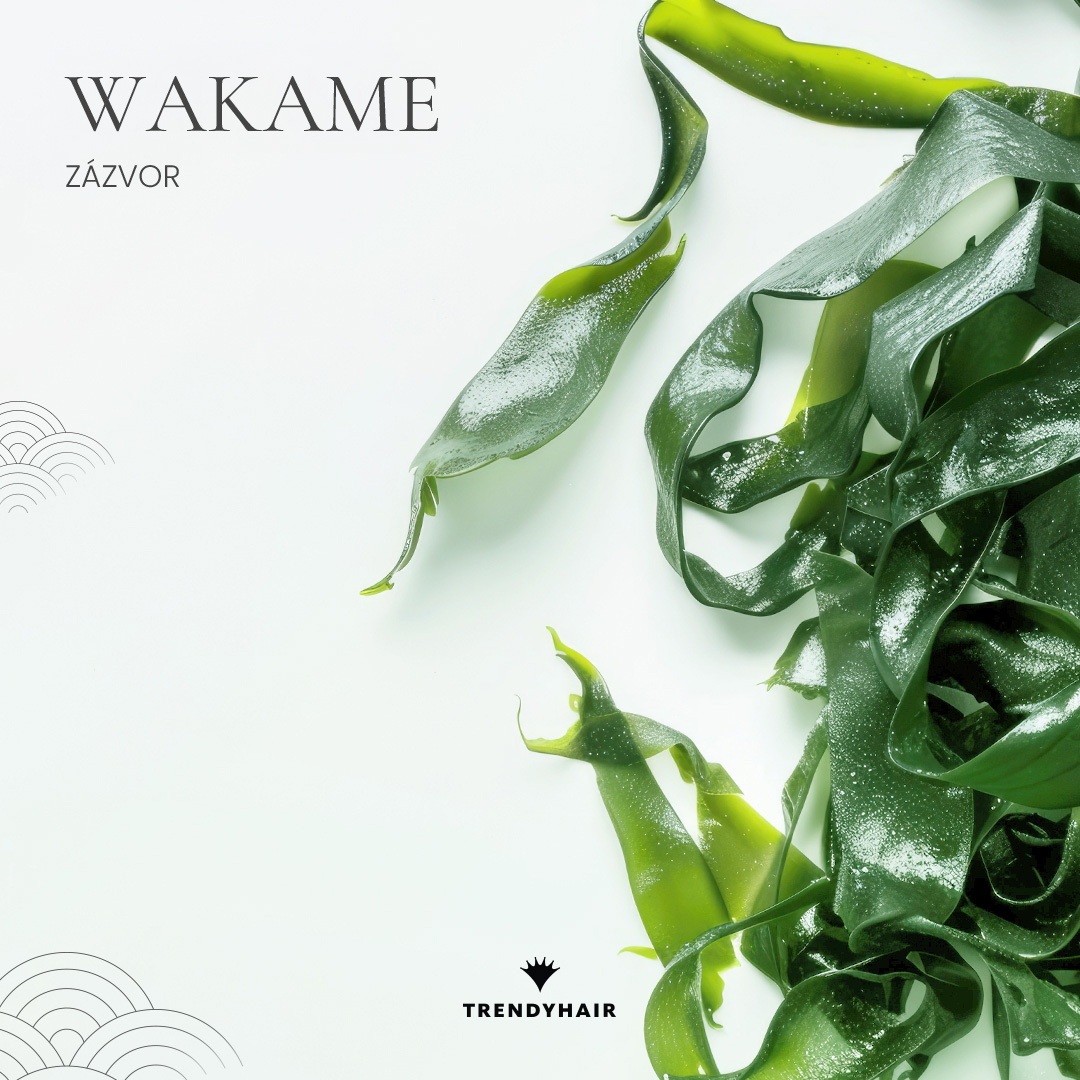 Obnovující sérum Wakame Elastic | 30 ml (obrázek 8)