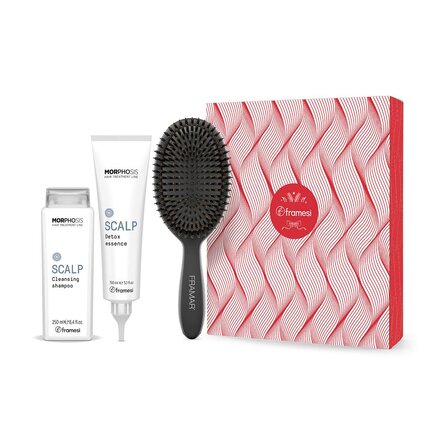 Vánoční balíček Scalp | šampon 250 ml + Detox Esence 150 ml + kartáč na vlasy