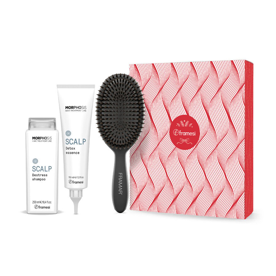 Vánoční balíček Scalp | šampon Destress 250 ml + Detox Esence 150 ml + kartáč na vlasy