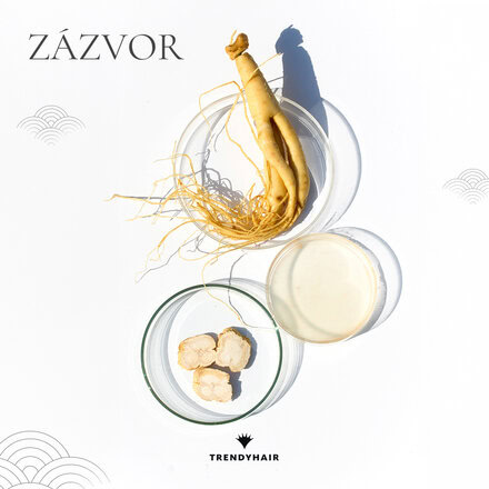 Obnovující šampon Elastic | 300 ml 