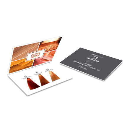 Vzorník Eclectic 5D Color Gloss Coppers | meděné odstíny