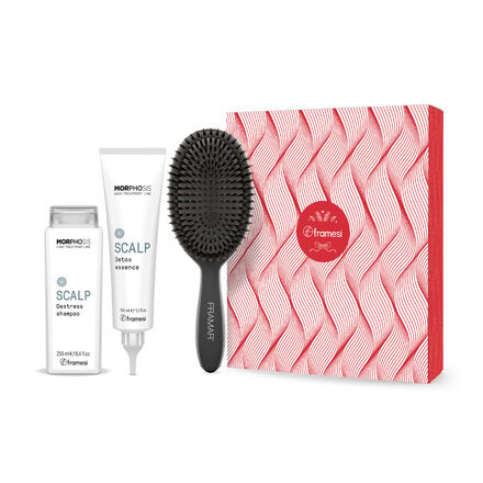 Vánoční balíček Scalp | šampon Destress 250 ml + Detox Esence 150 ml + kartáč na vlasy