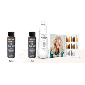 Akce Focus | 12+2 ks barev Eclectic 5D Color Gloss + dárky