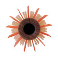 product-img-small